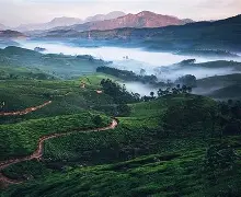 Munnar Complete Experience